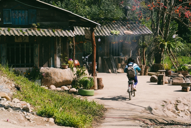 Lý Hải trồng cánh đồng hoa bất tử, dựng các dãy nhà- Ảnh 3.